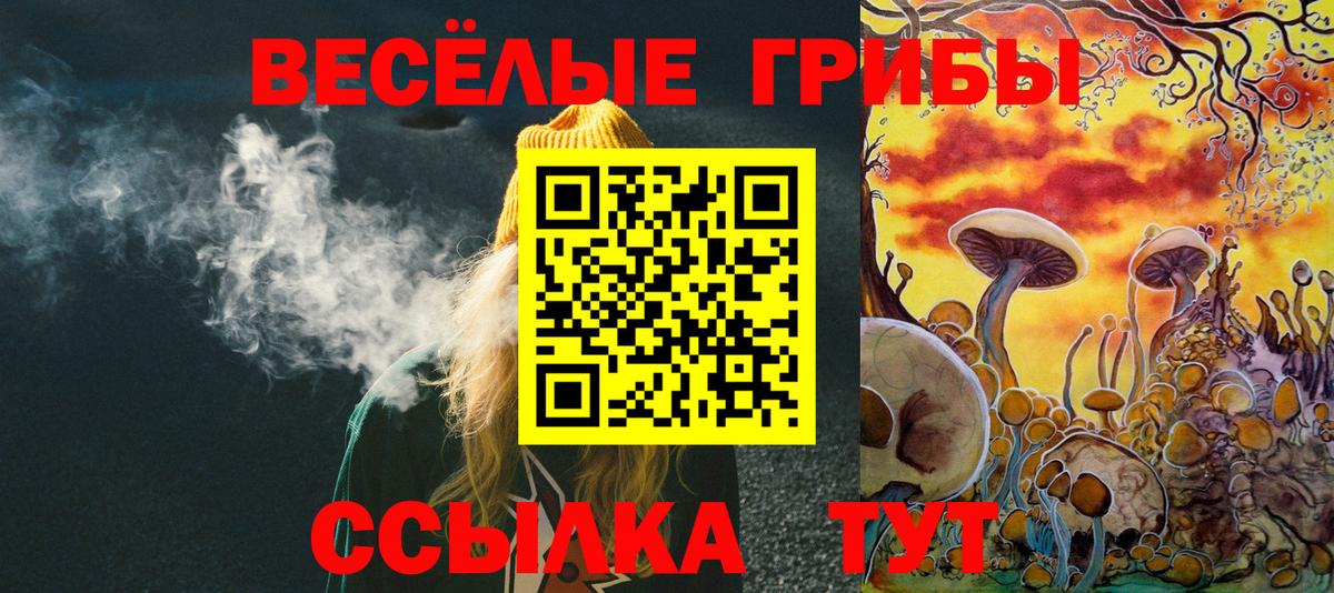 Псилоцибиновые грибы прущие грибы  Галлюциногенные грибы ЛСД  Вход с VPN  Нефтекумск 